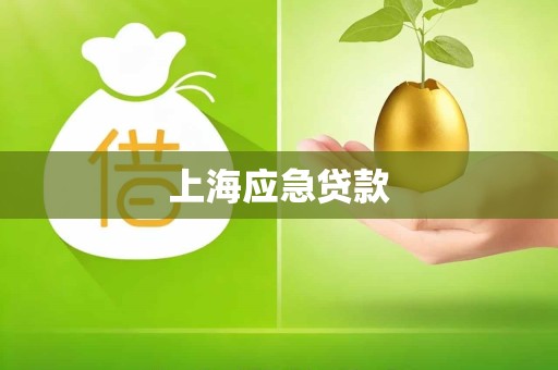 上海应急贷款