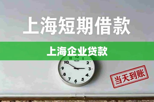 上海企业贷款 上海企业贷款